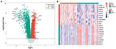 Identification and validation of biomarkers based on cellular senescence in mild cognitive impairment